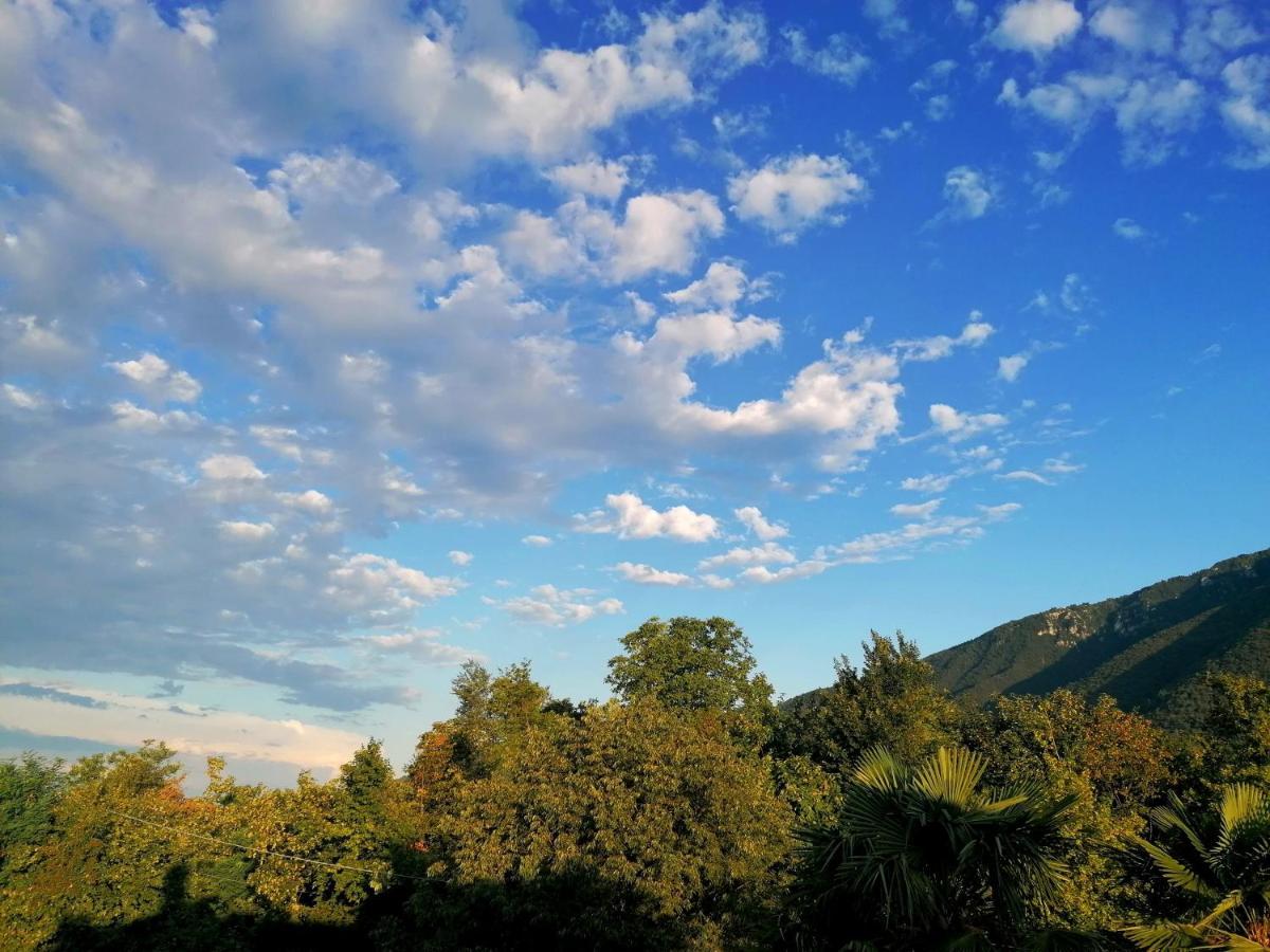 Agriturismo Da Andreina Borso del Grappa Dış mekan fotoğraf