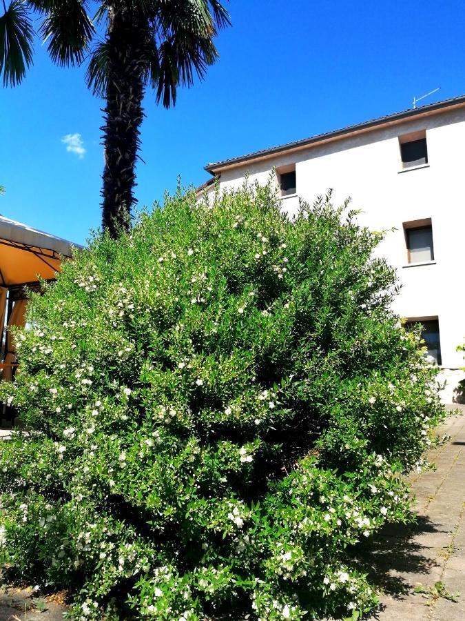 Agriturismo Da Andreina Borso del Grappa Dış mekan fotoğraf